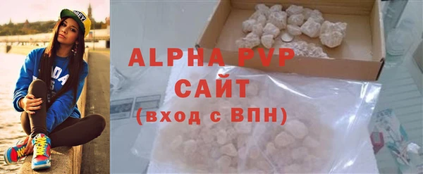 прущие грибы Михайловск