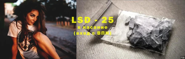 прущие грибы Михайловск