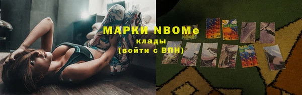 прущие грибы Михайловск