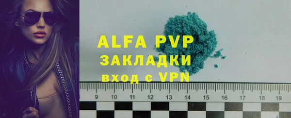 прущие грибы Михайловск