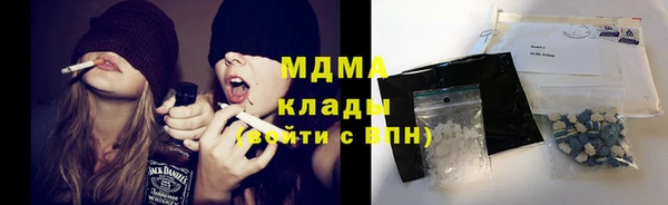 прущие грибы Михайловск