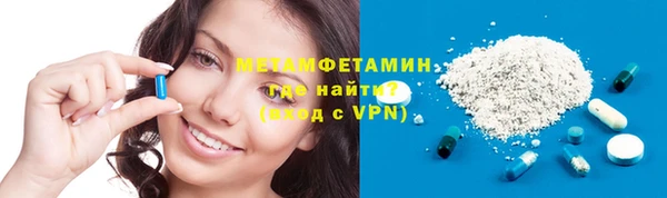 прущие грибы Михайловск