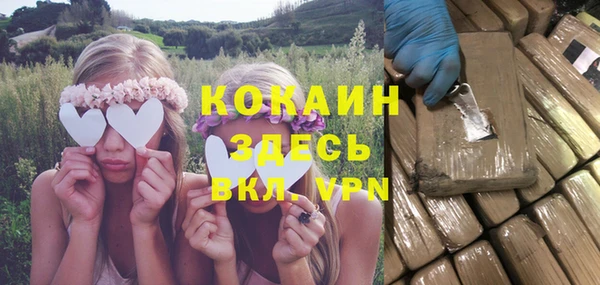 прущие грибы Михайловск