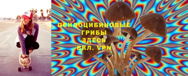 молекула духа Михайловка