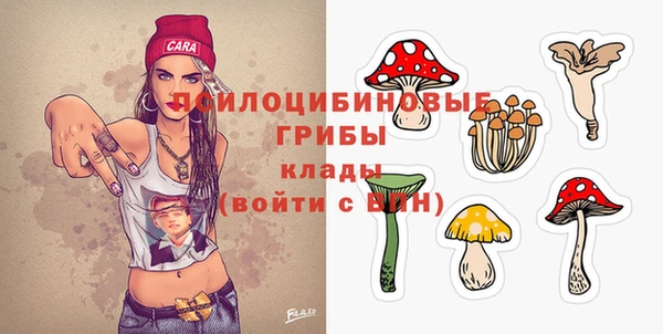 молекула духа Михайловка