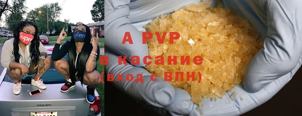 прущие грибы Михайловск